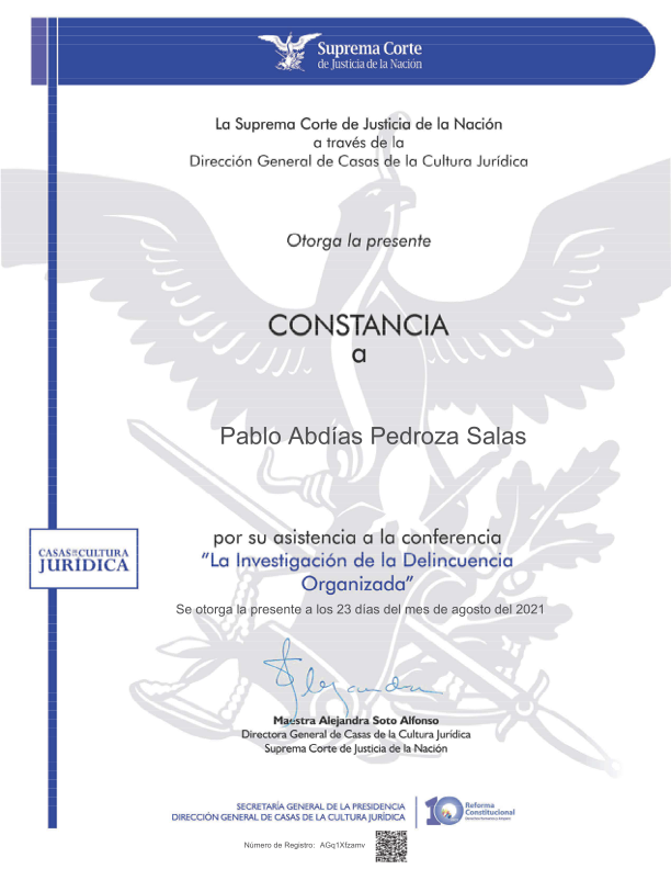 Investigacion delincuencia organizada